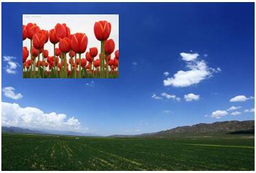 畫中畫.jpg 畫中畫.jpg